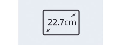 Image of the 22.7cm widescreen logo.